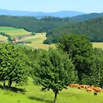 Apartment Richterhof Wellness Bayerischer Wald *