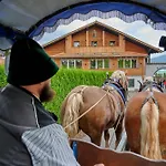 Richterhof Wellness Bayerischer Wald Apartment