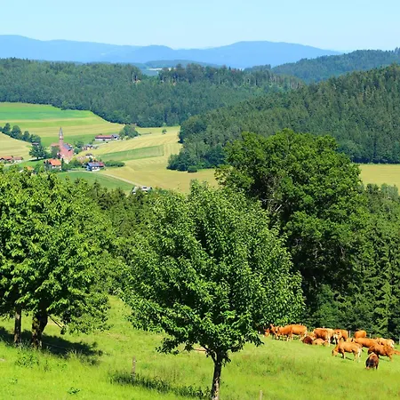Apartmán Richterhof Wellness Bayerischer Wald *
