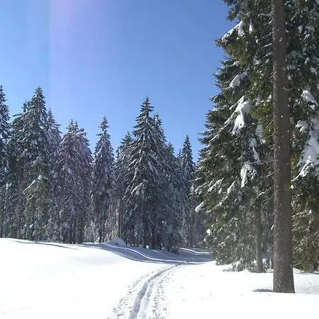 Richterhof Wellness Bayerischer Wald Apartmán