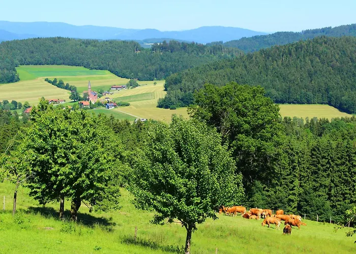 Apartment Richterhof Wellness Bayerischer Wald *