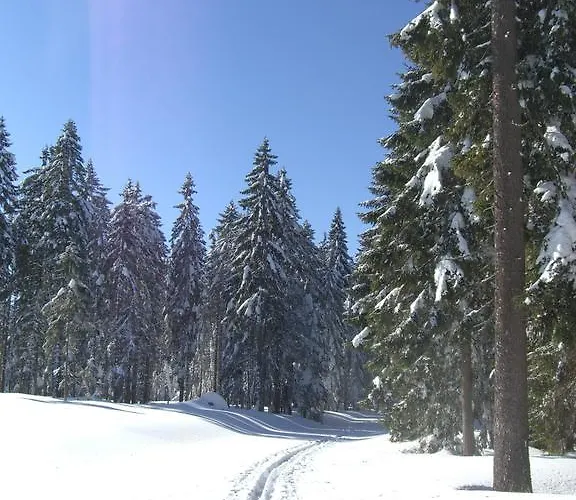 Richterhof Wellness Bayerischer Wald Apartment